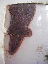 détail -