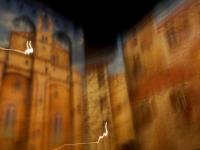 Avignon nuit 4, photographie, ville, pose longue, flou