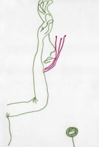 croquis  8