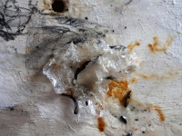 détail