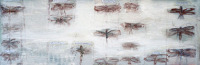 libellules