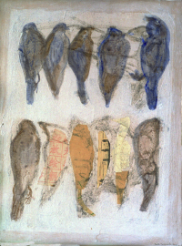 oiseaux 3