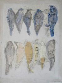 oiseaux 1