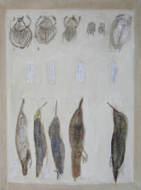 oiseaux 2